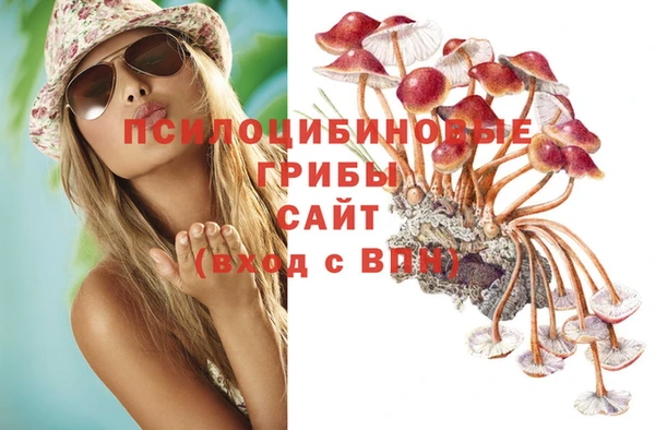 спайс Нея