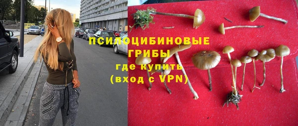 спайс Нея